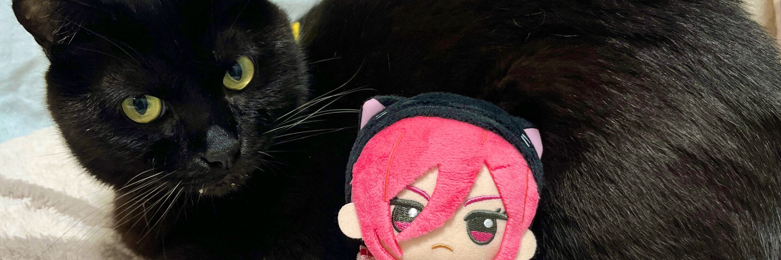 こんぶ