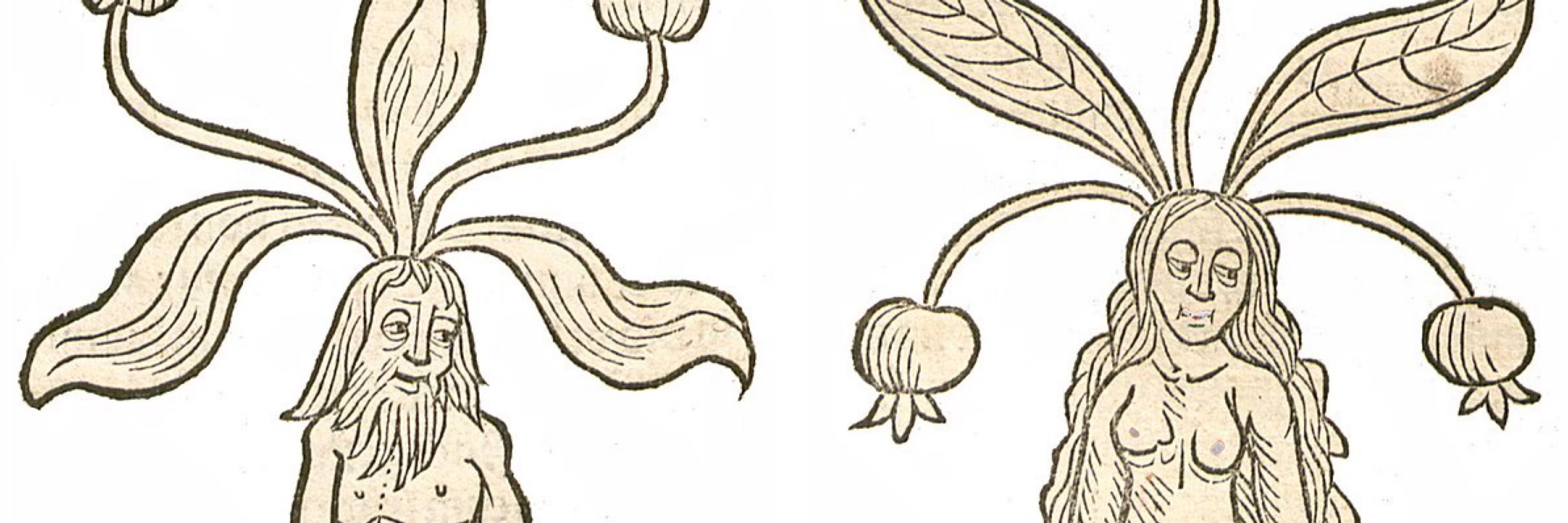medieval marginalia