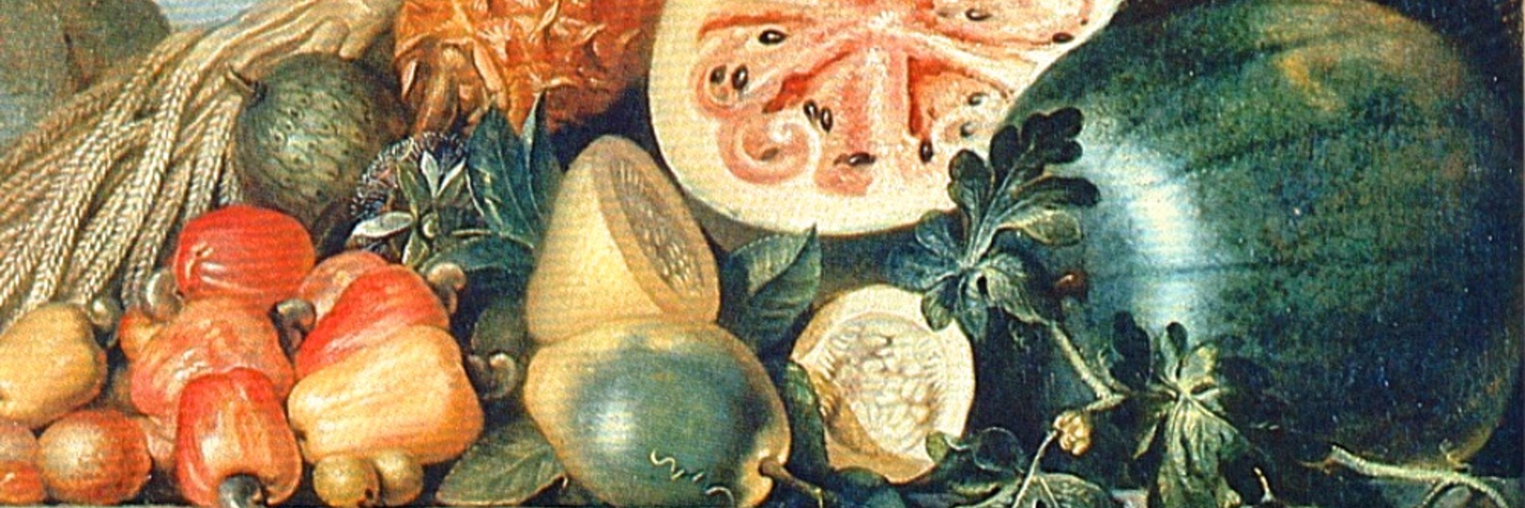 Emmanuel Araüius Silvius Brasilianus