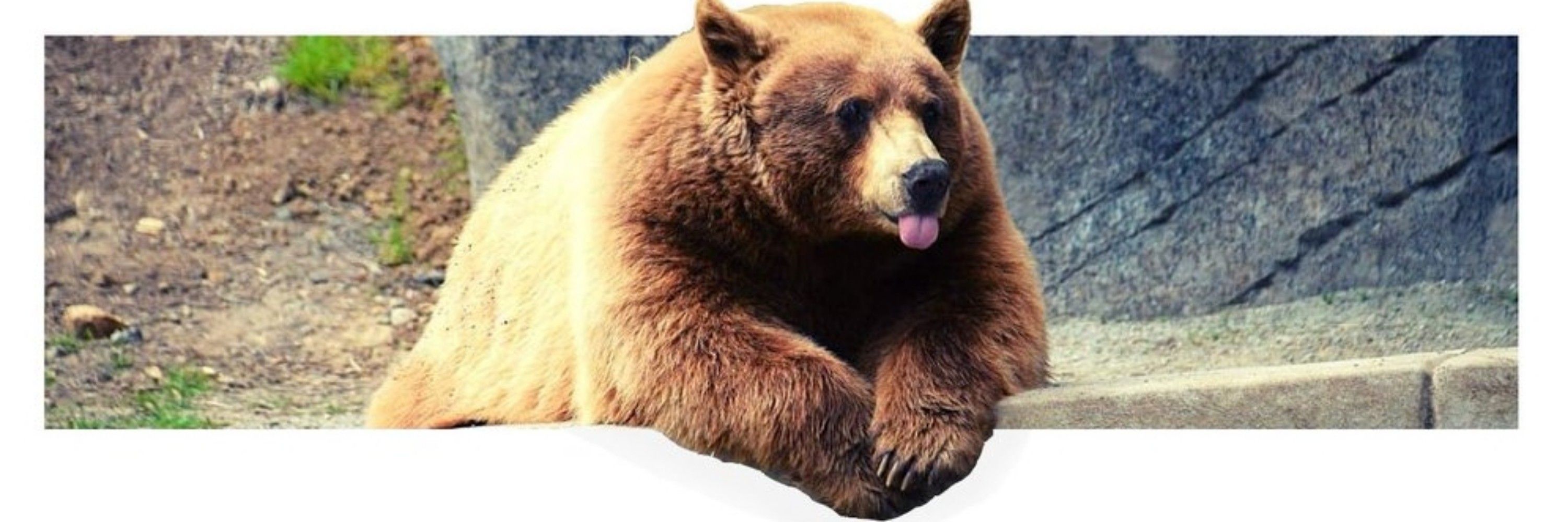 PandaFence