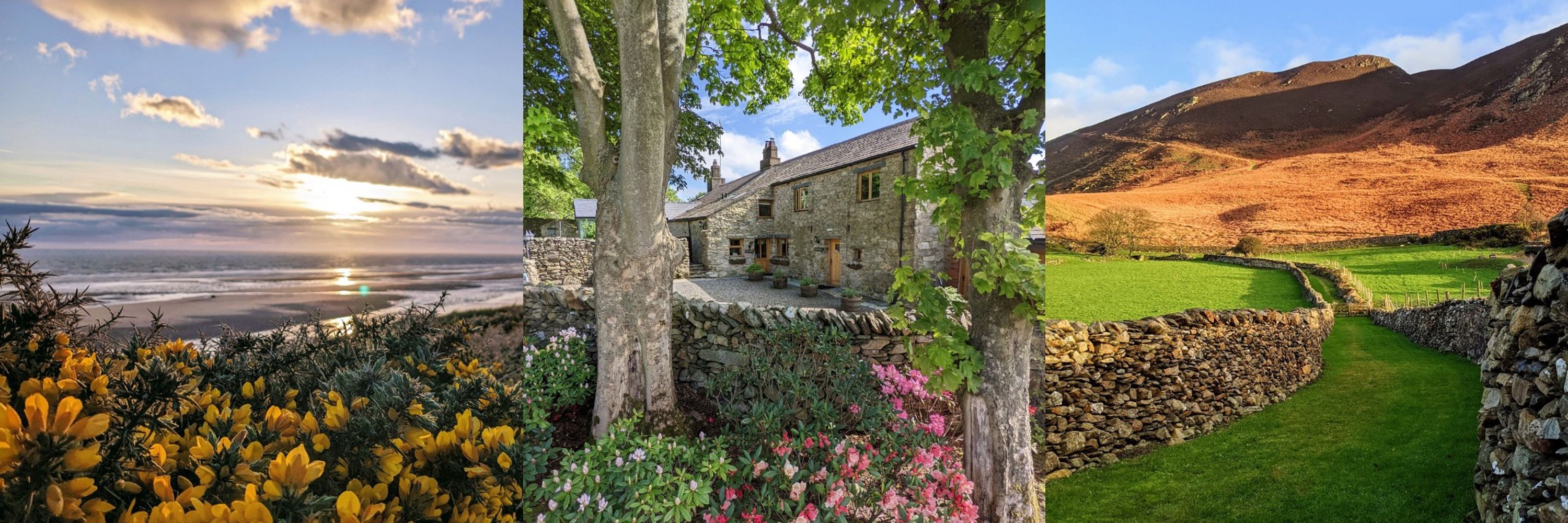 The Wayside and Whisky Barn