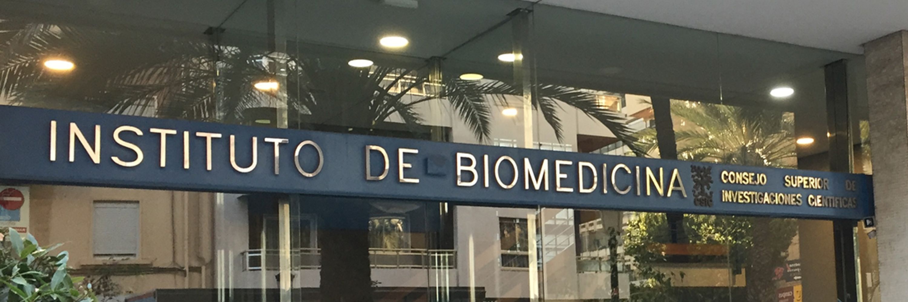 Instituto de Biomedicina de Valencia (IBV), CSIC