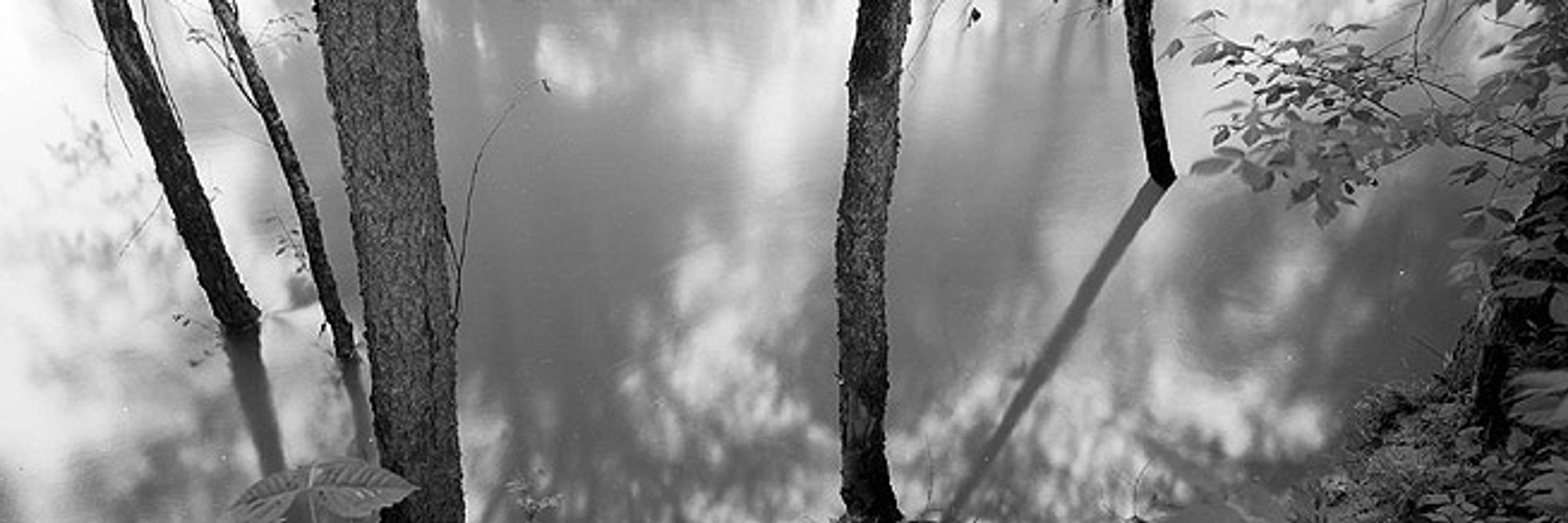 Chris Faust