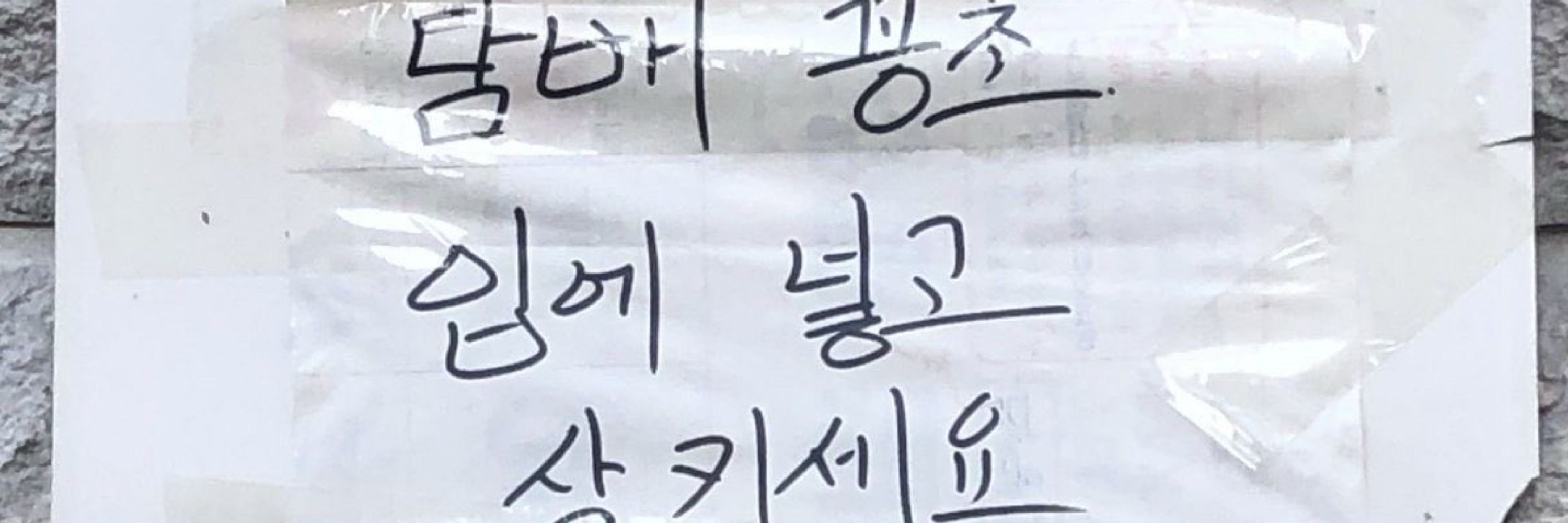 여늘