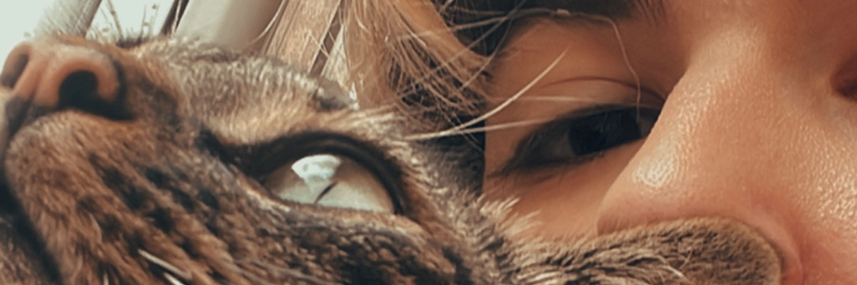 Leo🌟