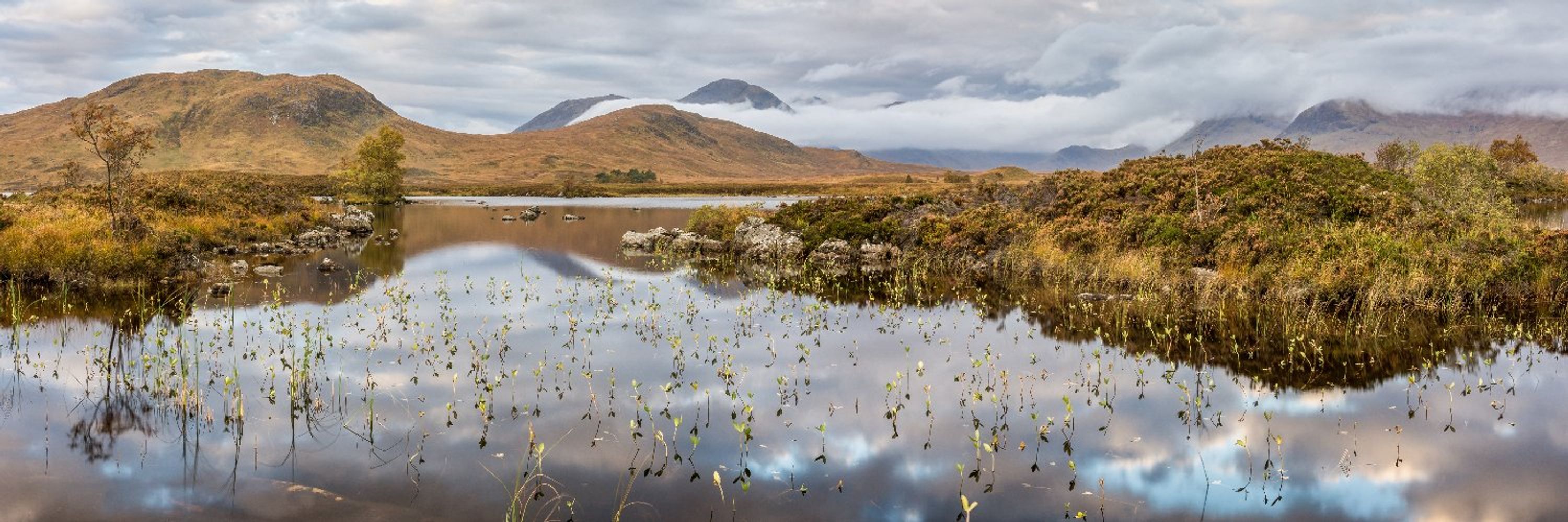 IUCN UK Peatland Programme