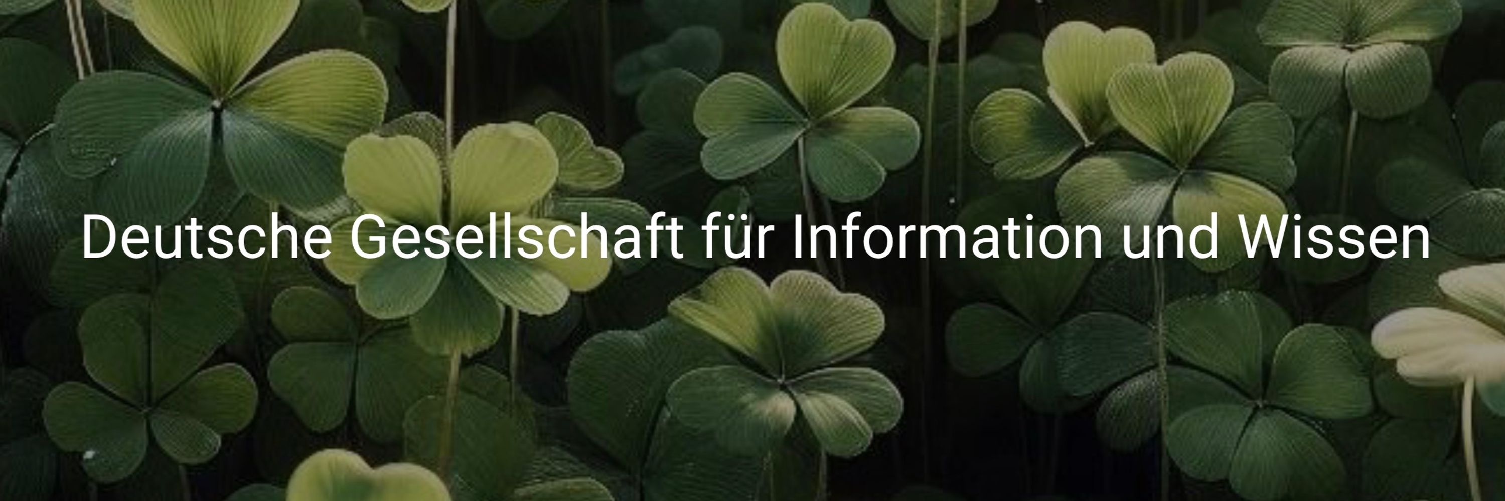 Deutsche Gesellschaft für Information und Wissen (DGI) e.V., Ffm