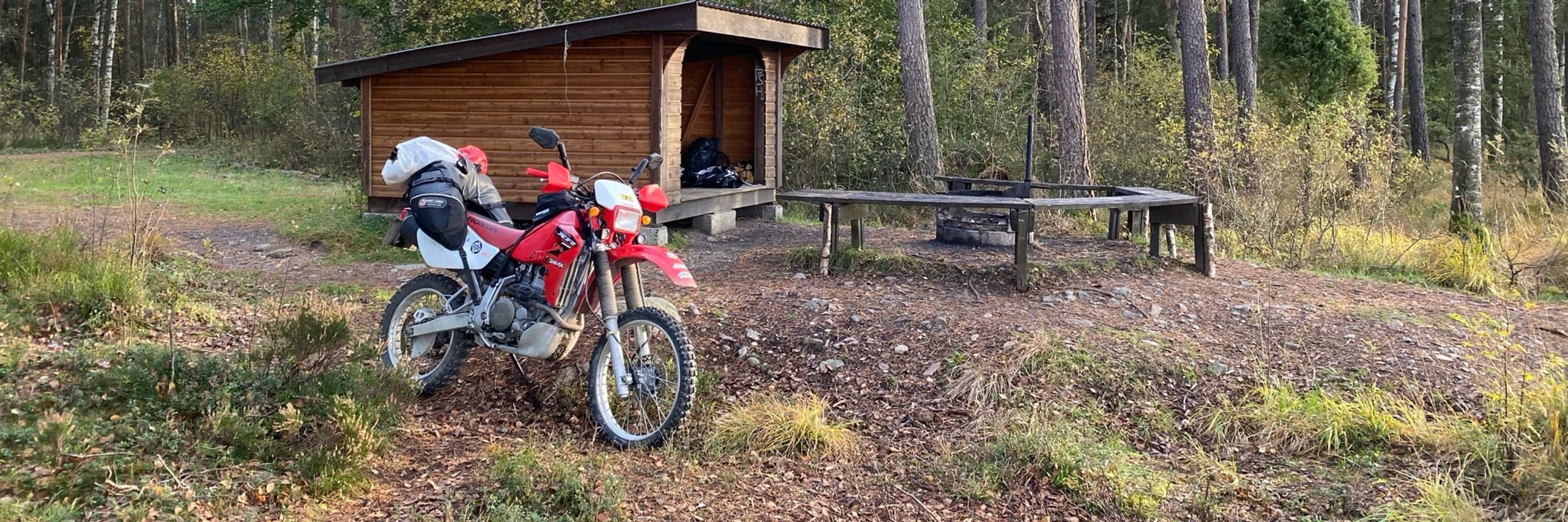 The Big Red Riding Pig
