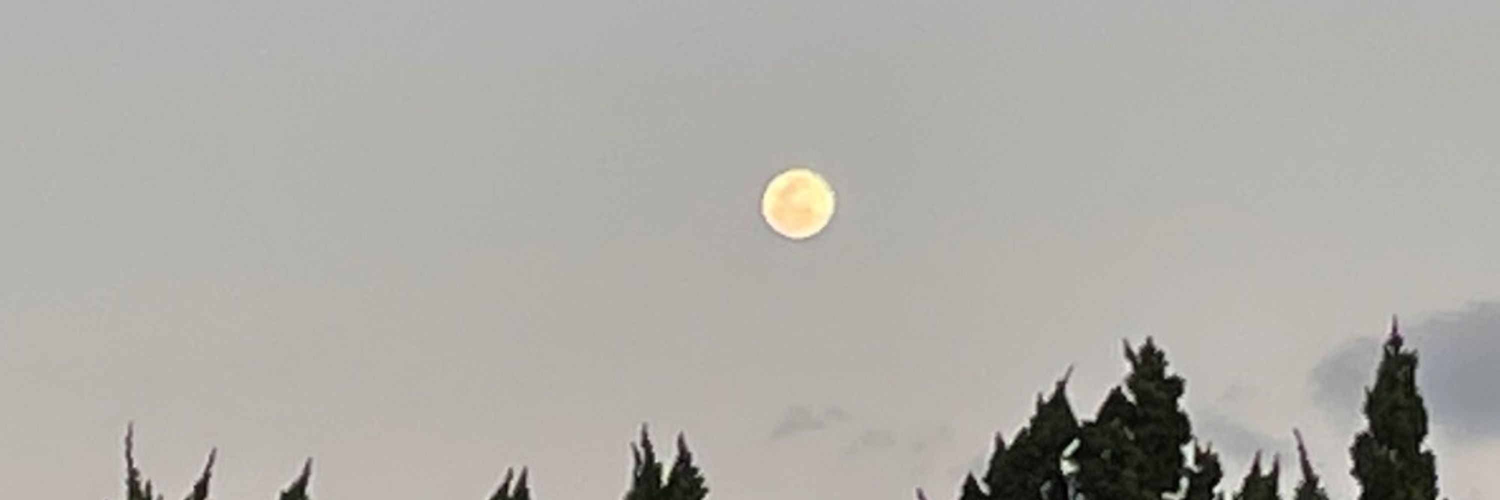 和稀