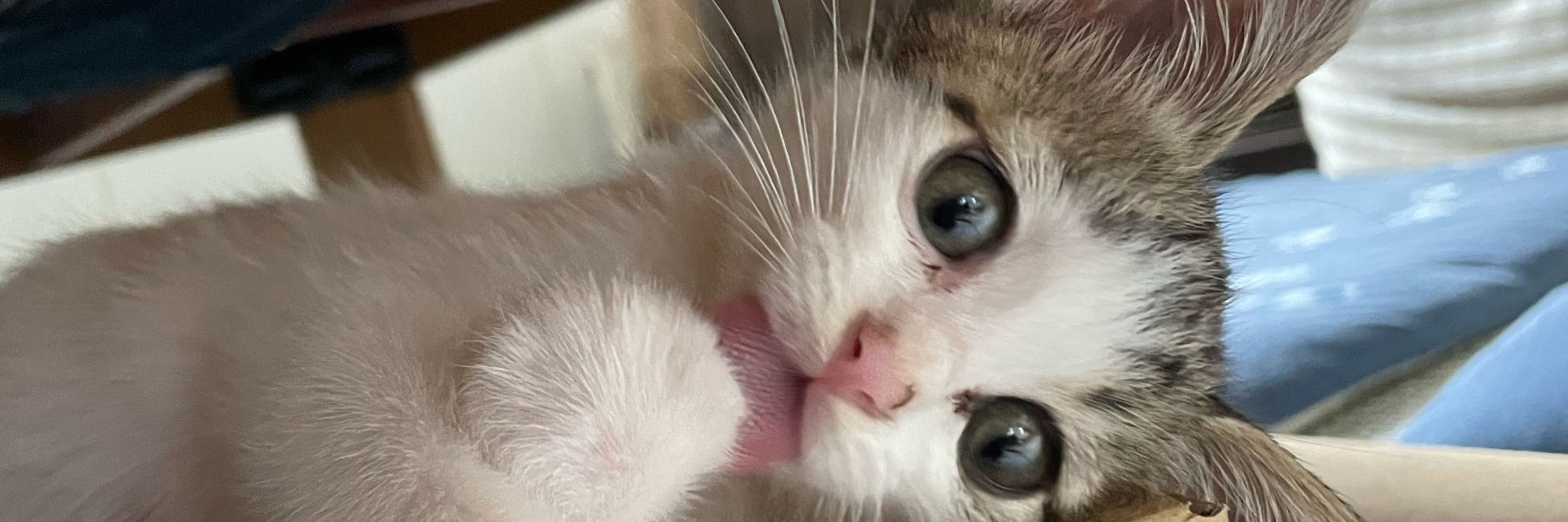 ユニー