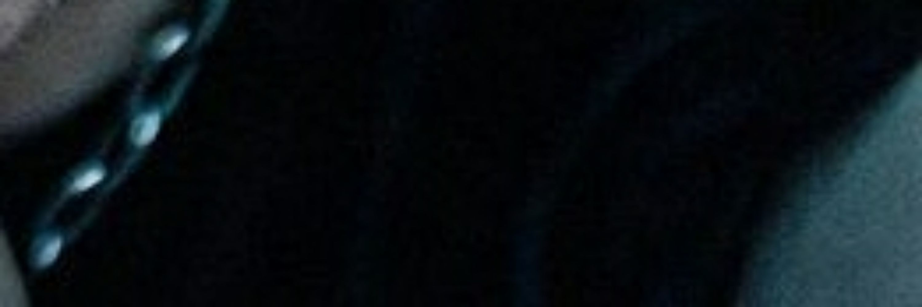 ticoliro