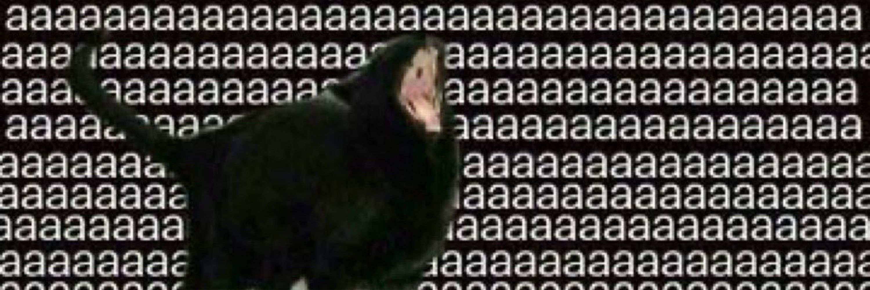 mumu