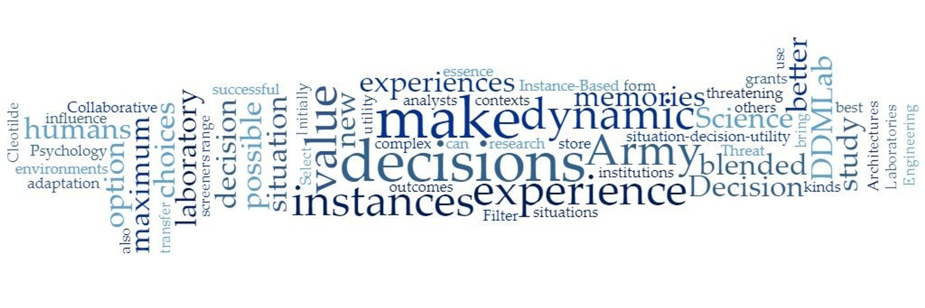 Dynamic Decision Making Laboratory