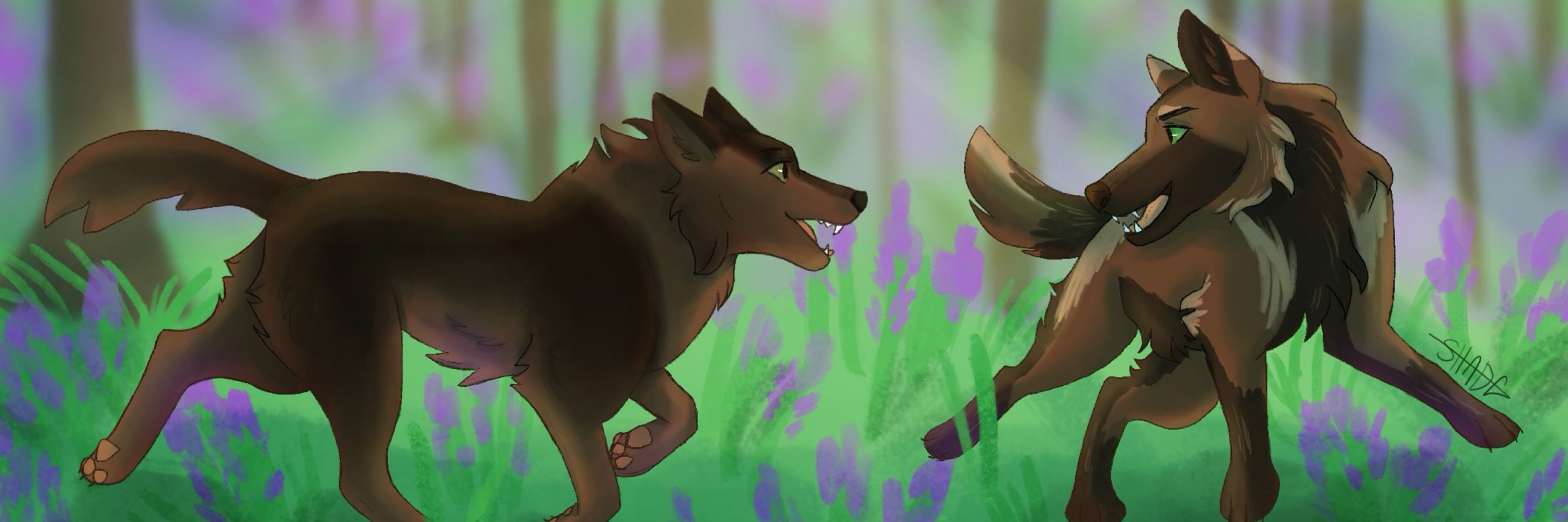Shadey Draws