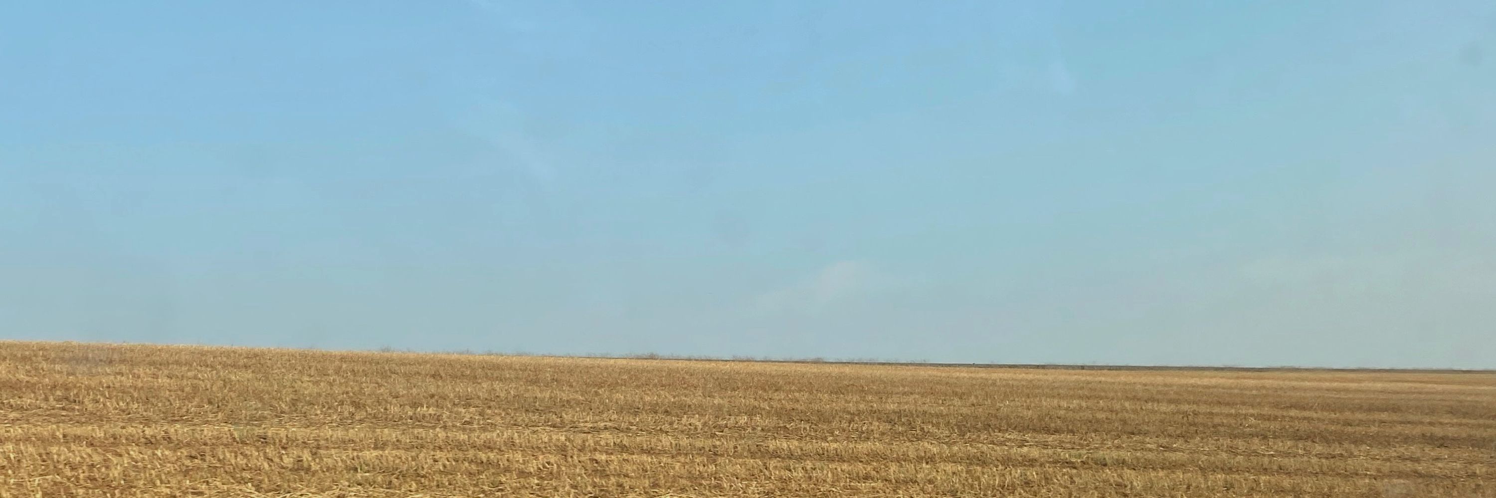Eupedrones