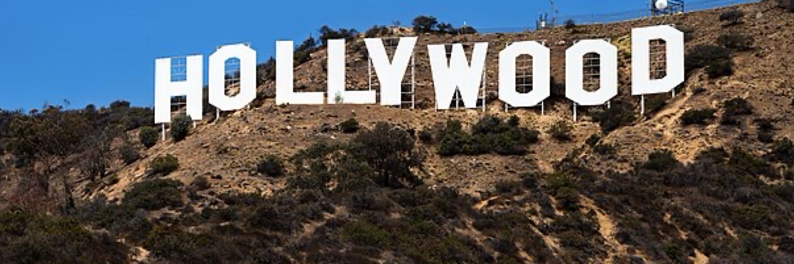 Morning Hollywood