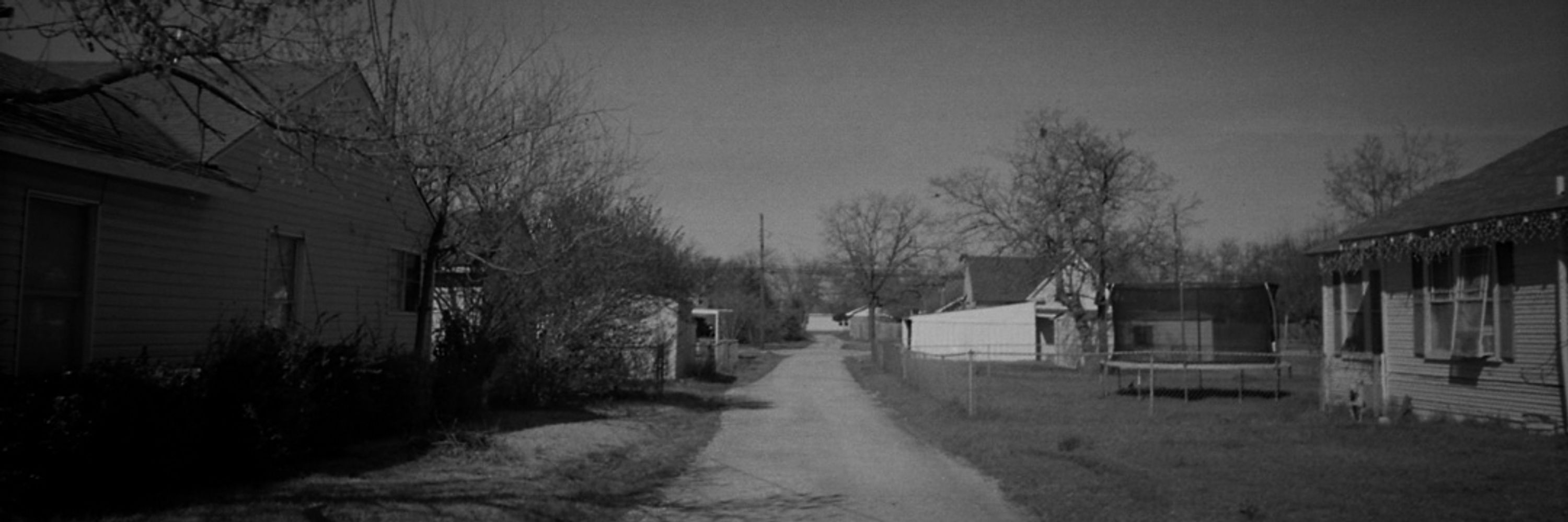 snapshots of an artificial life