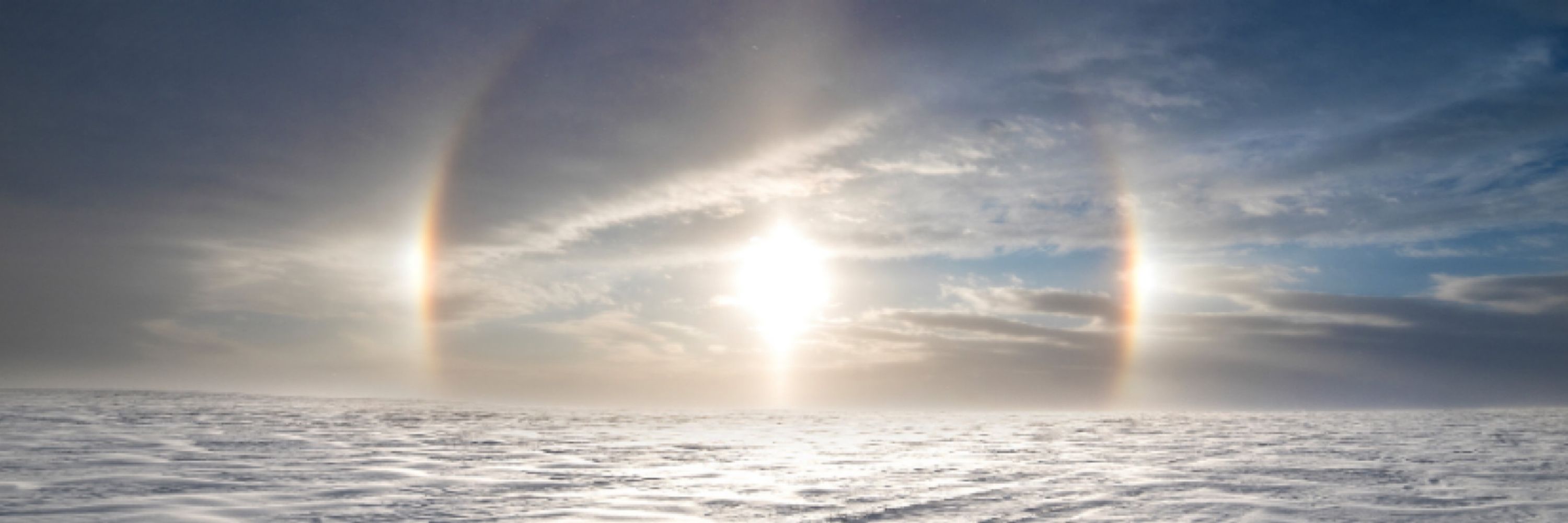 Little Sundogs