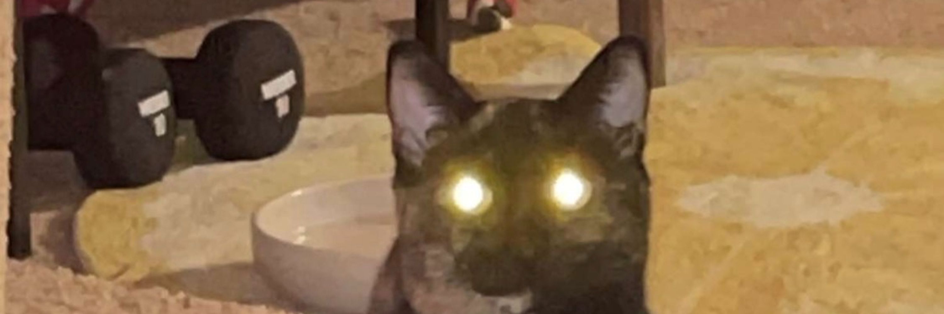 a creature feature