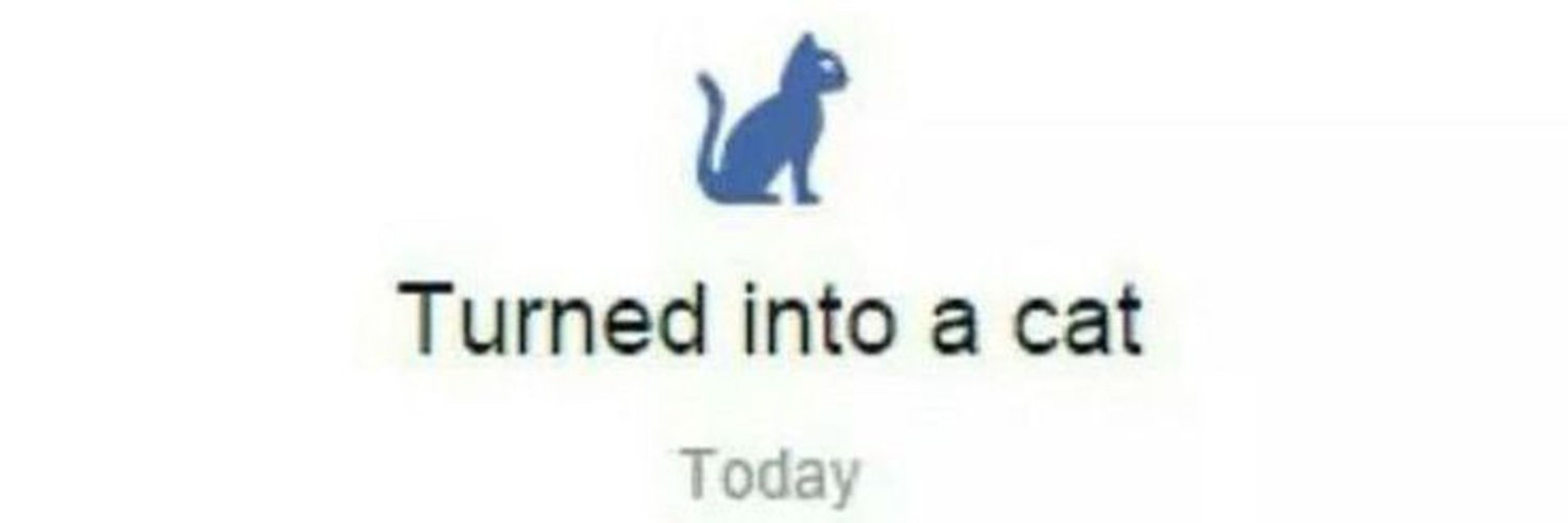 pedro
