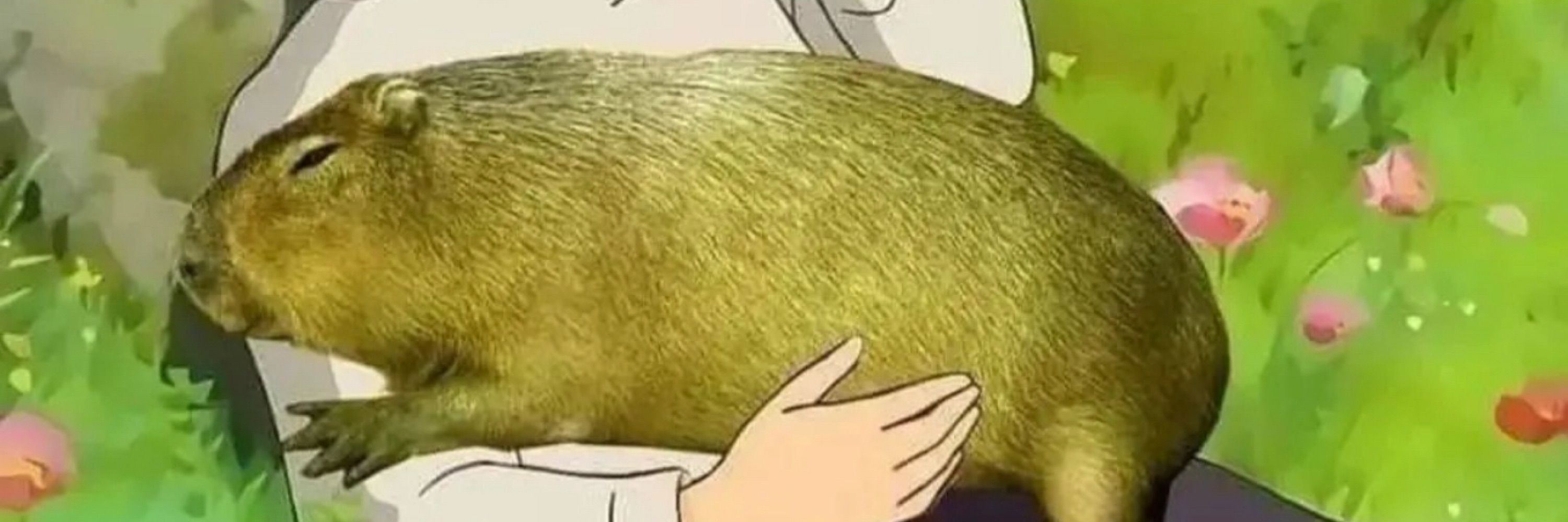 Nekoshi