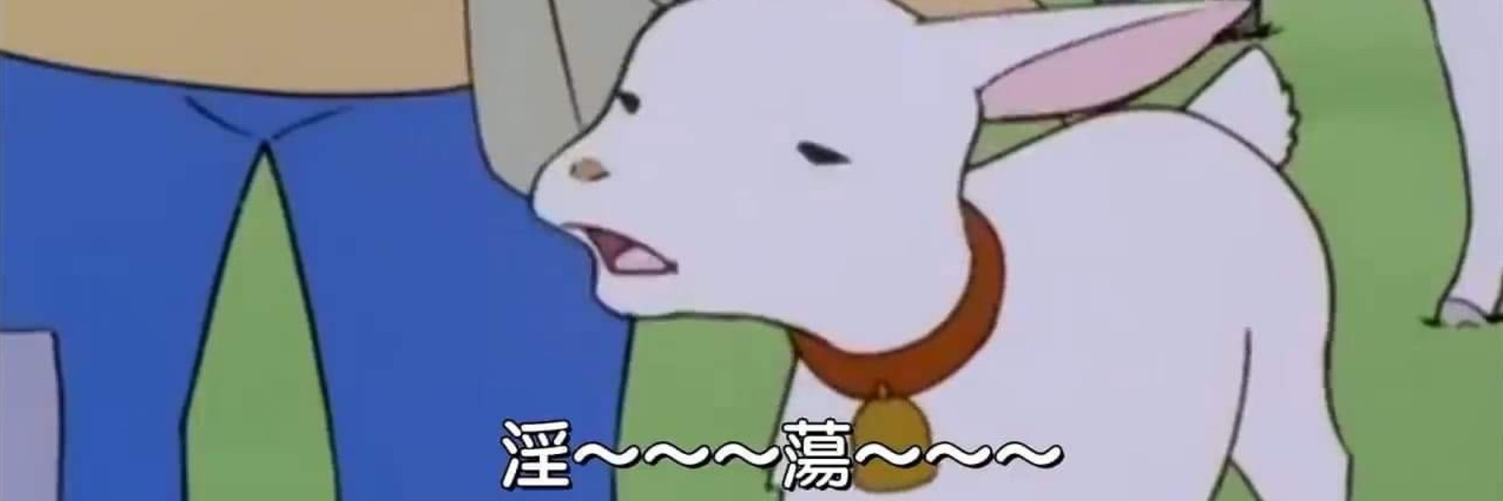 草履🐛