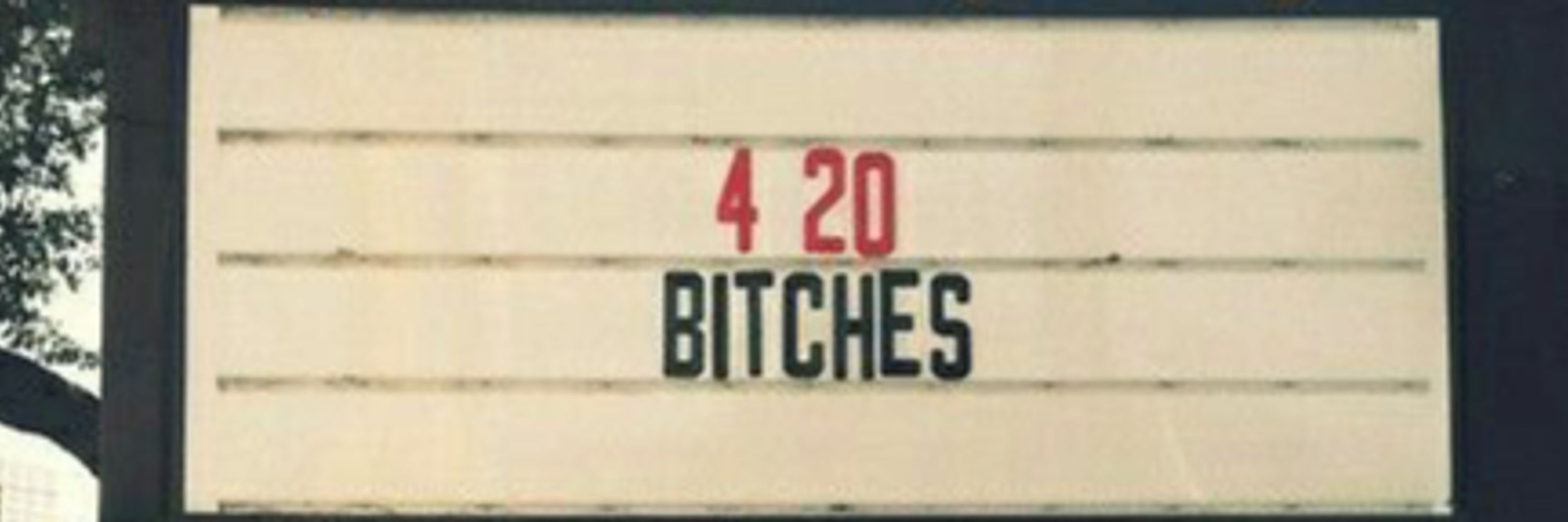 The Chronic Stoner