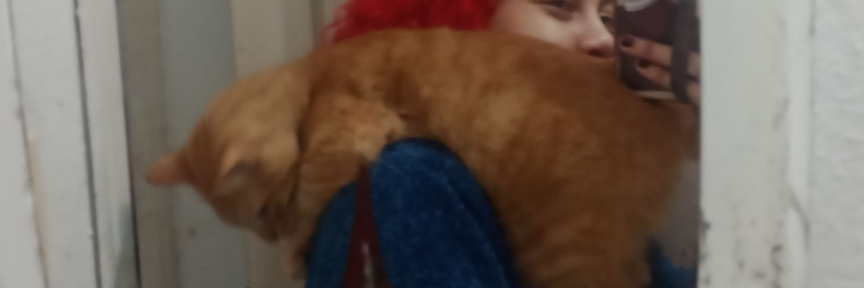 jessie