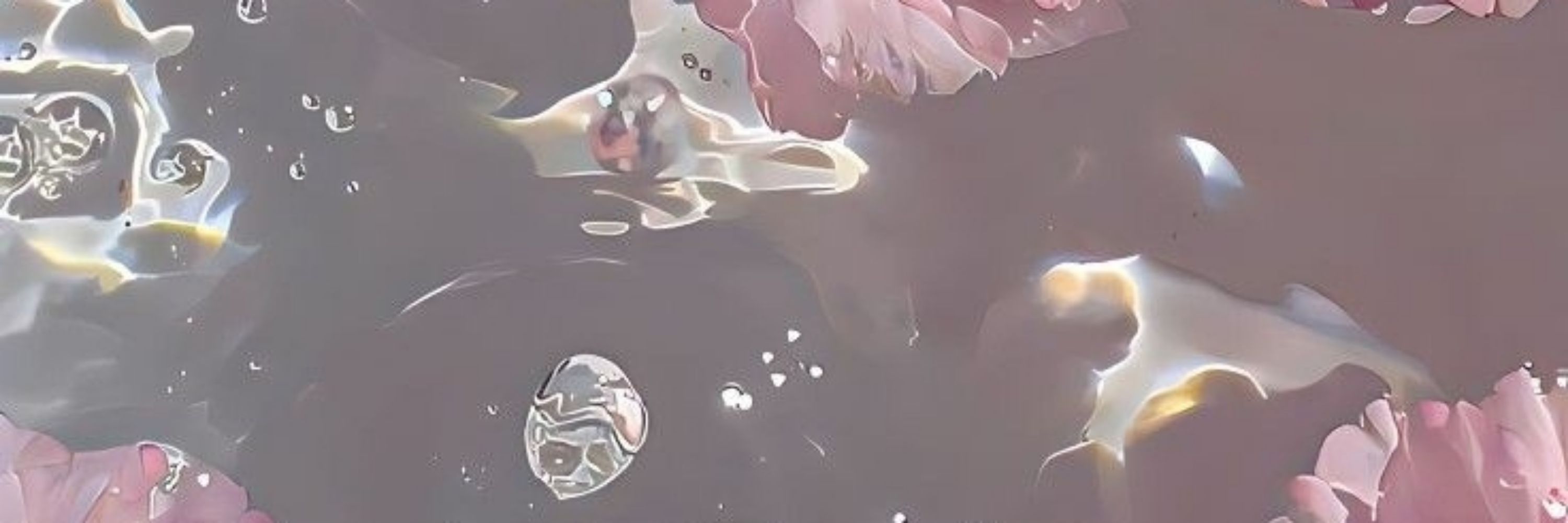 🔹