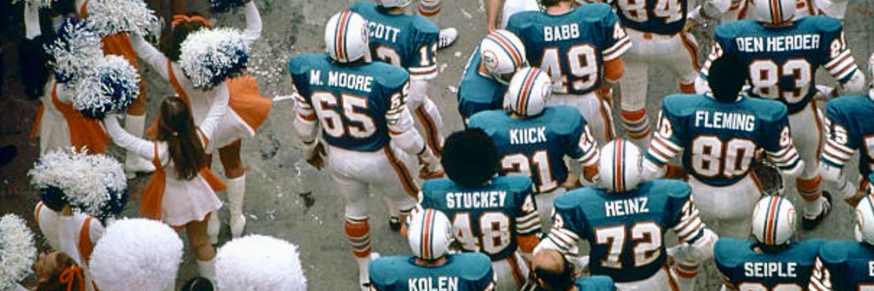 Dolphinslaxer