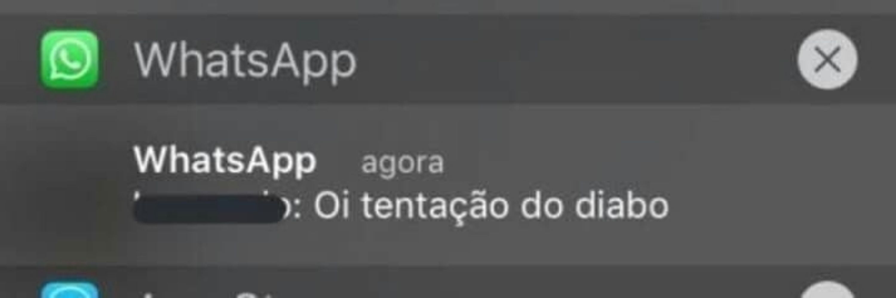 repelente de xota