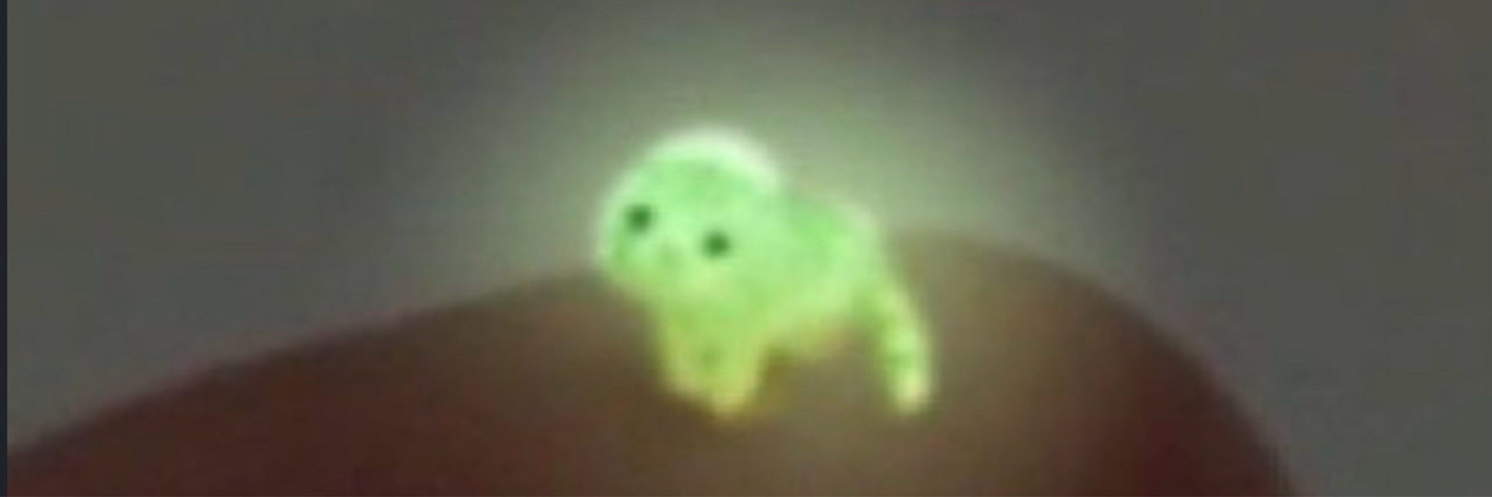 GoobieShmoobert