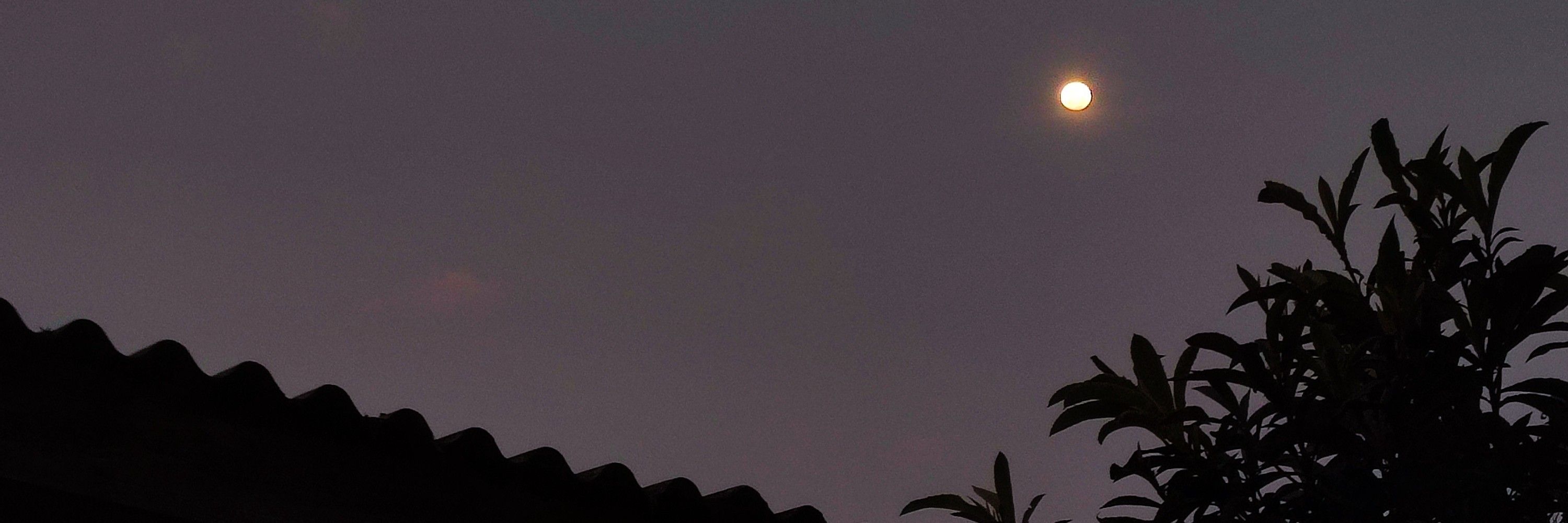 joão 