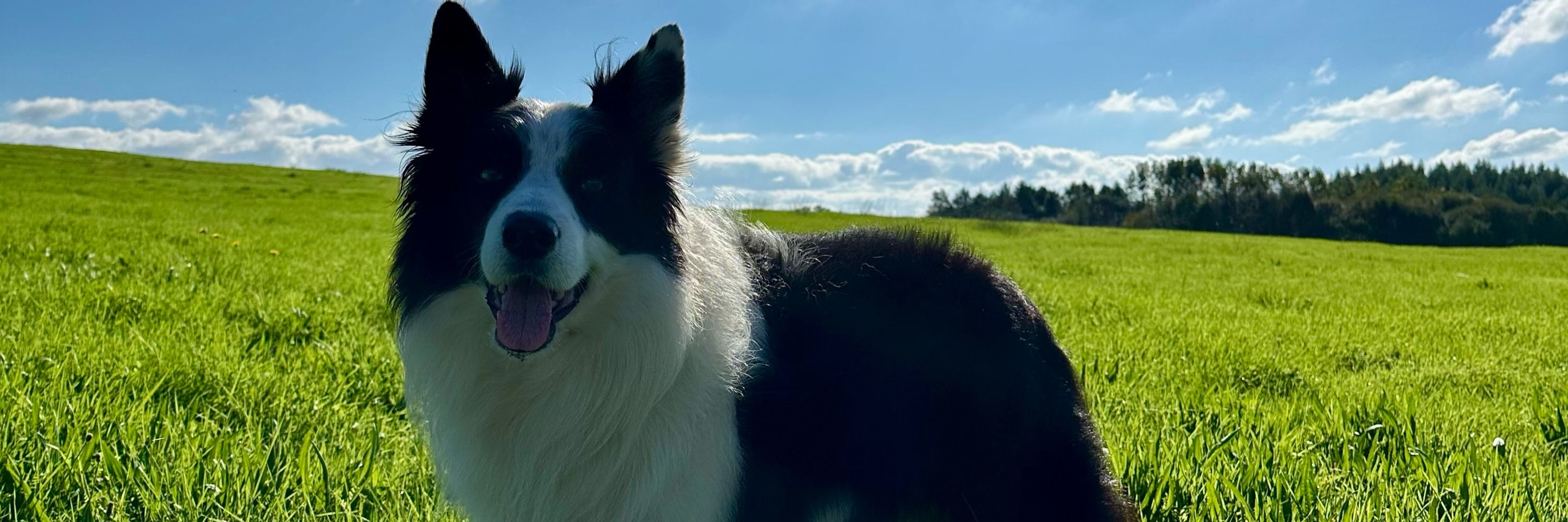 Oskar