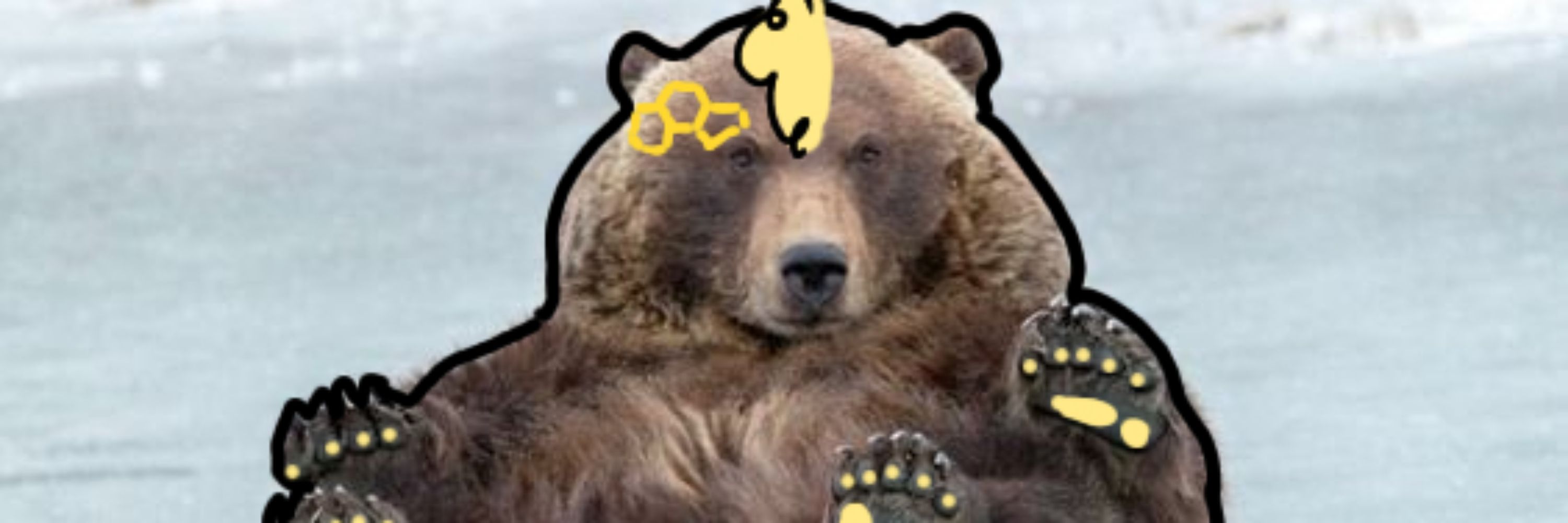 🍯Romeo the baker🐻🥐🍯