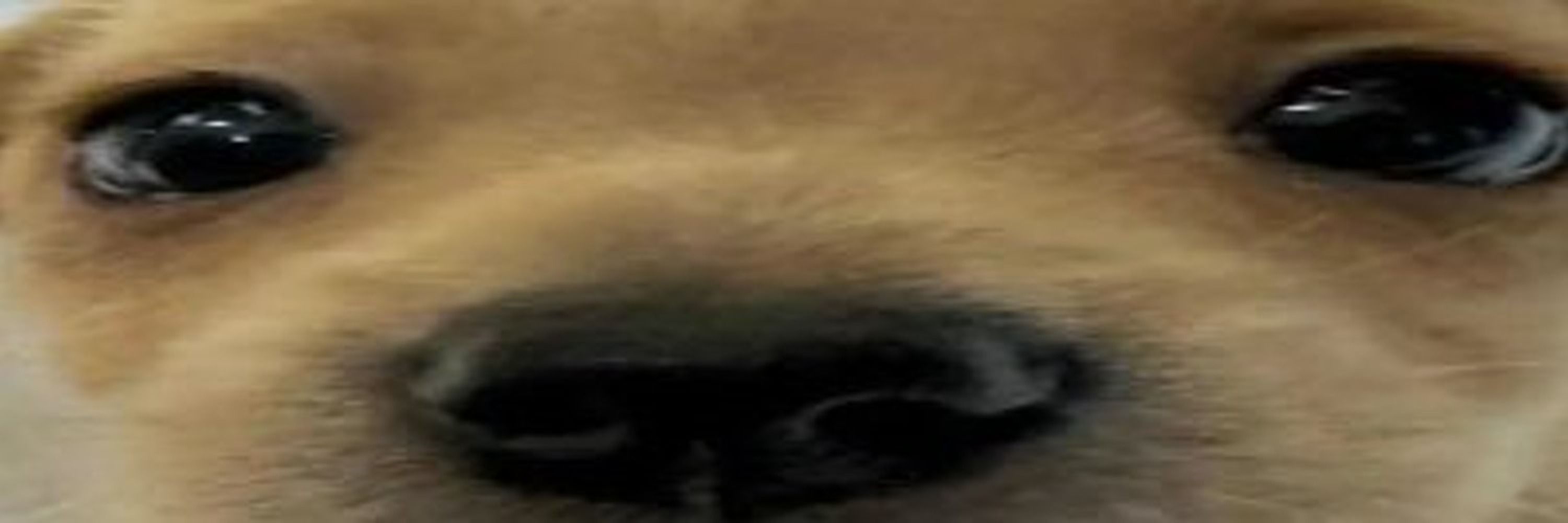 Vel