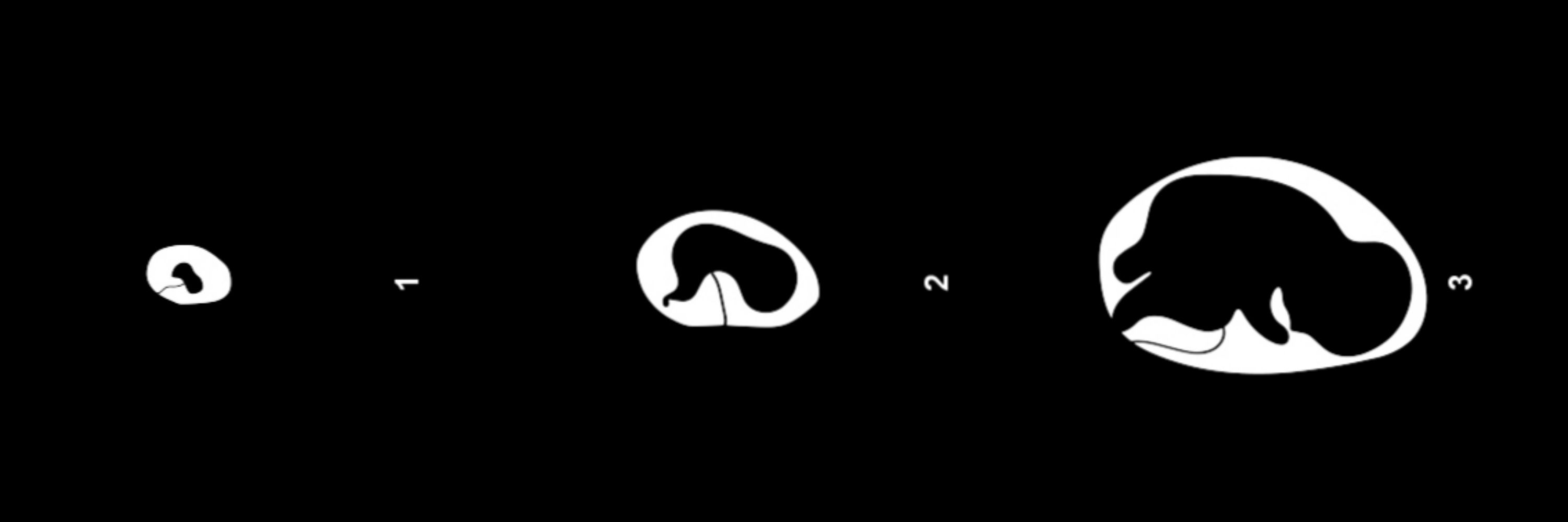 بدبخت