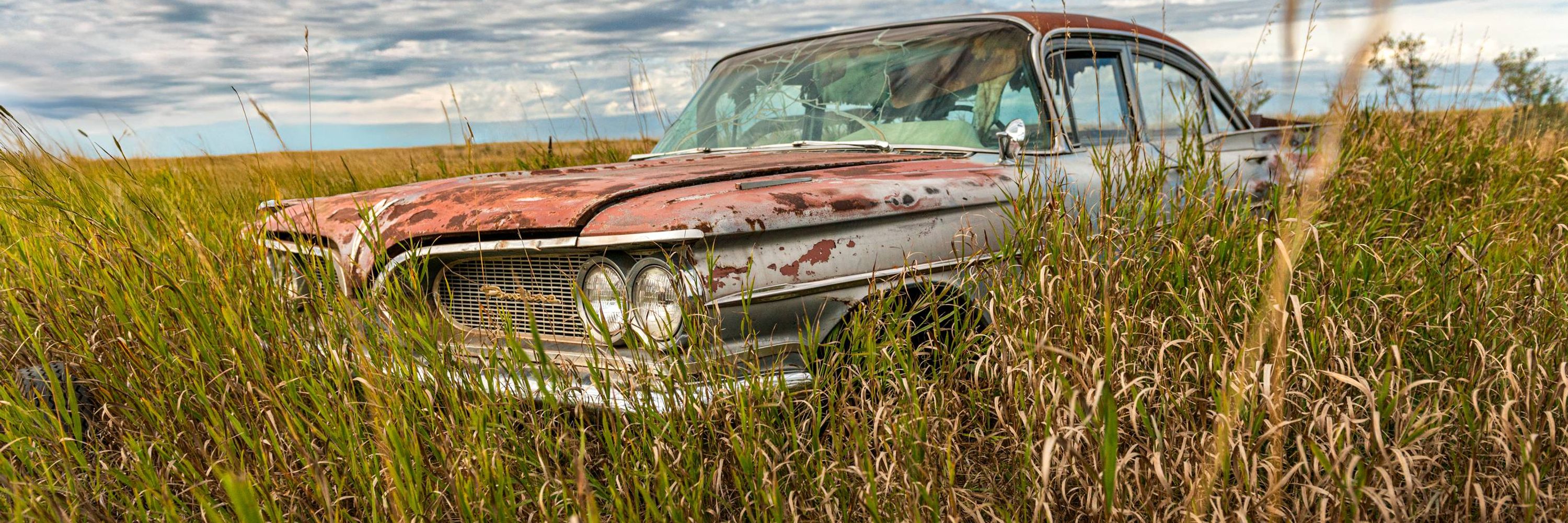 Wayne Stadler (Wayne on the Road)