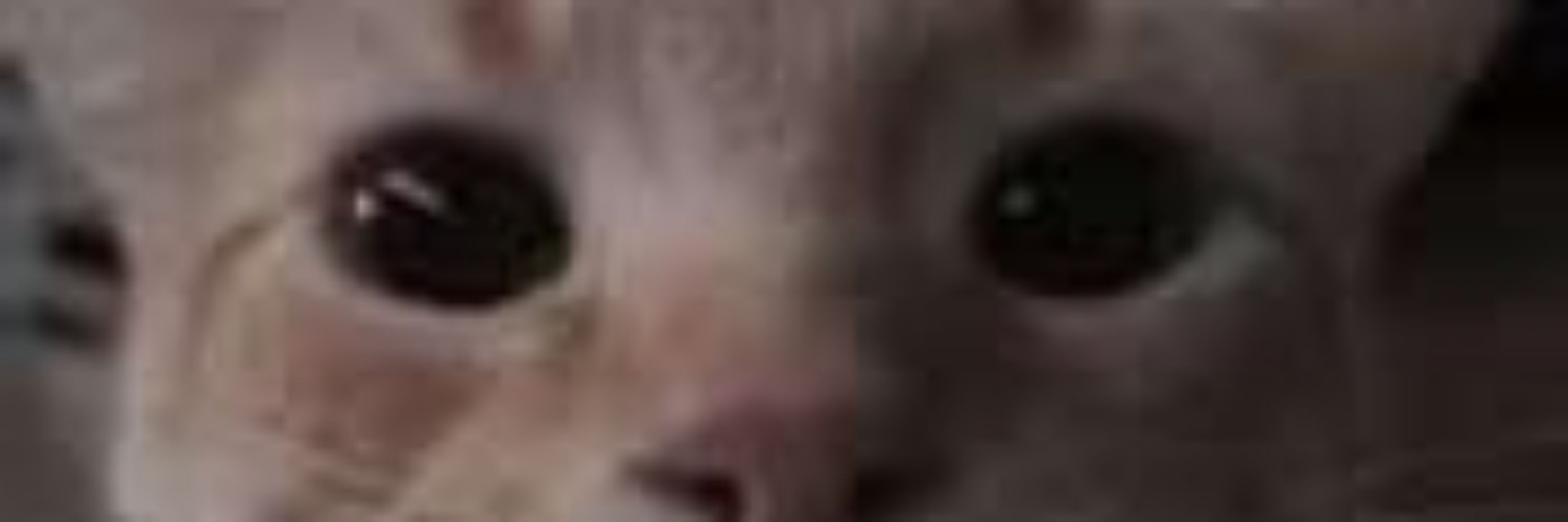 Fhanyy03