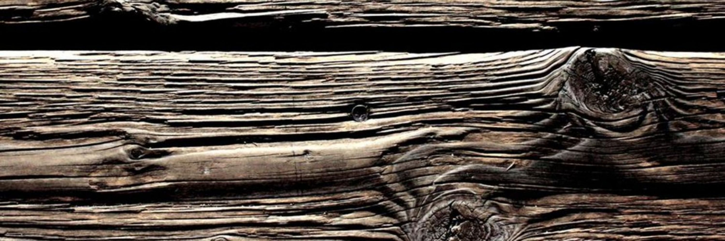 Paxaro paxariño