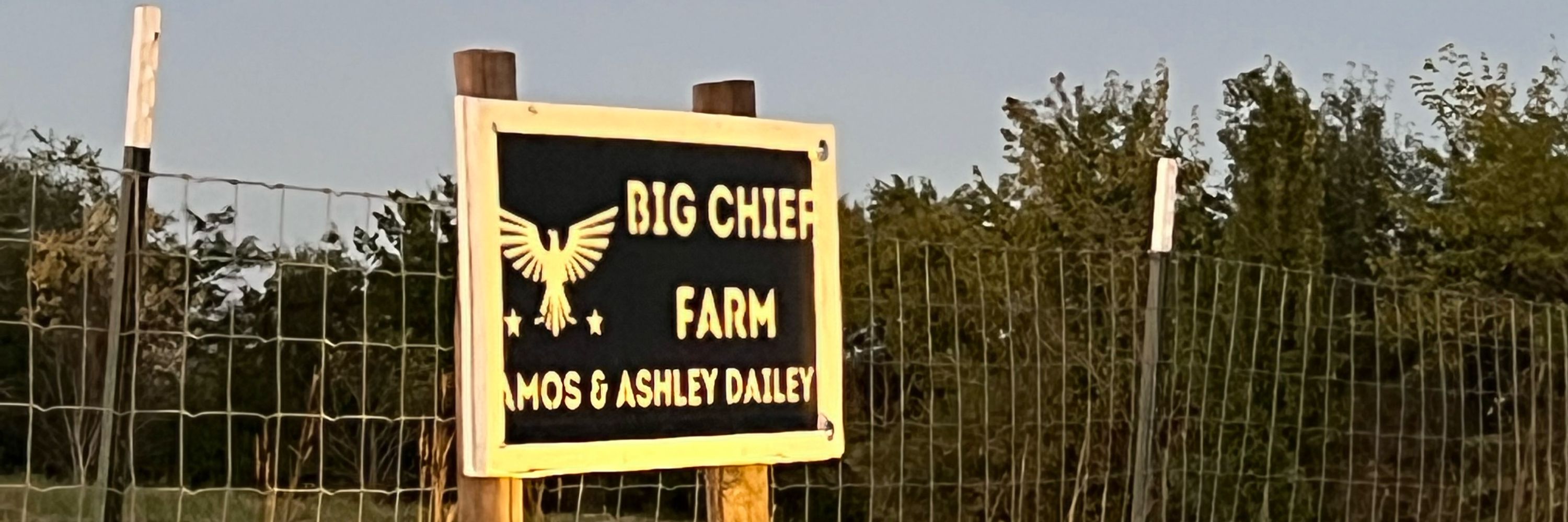 Ashley Crawford Dailey