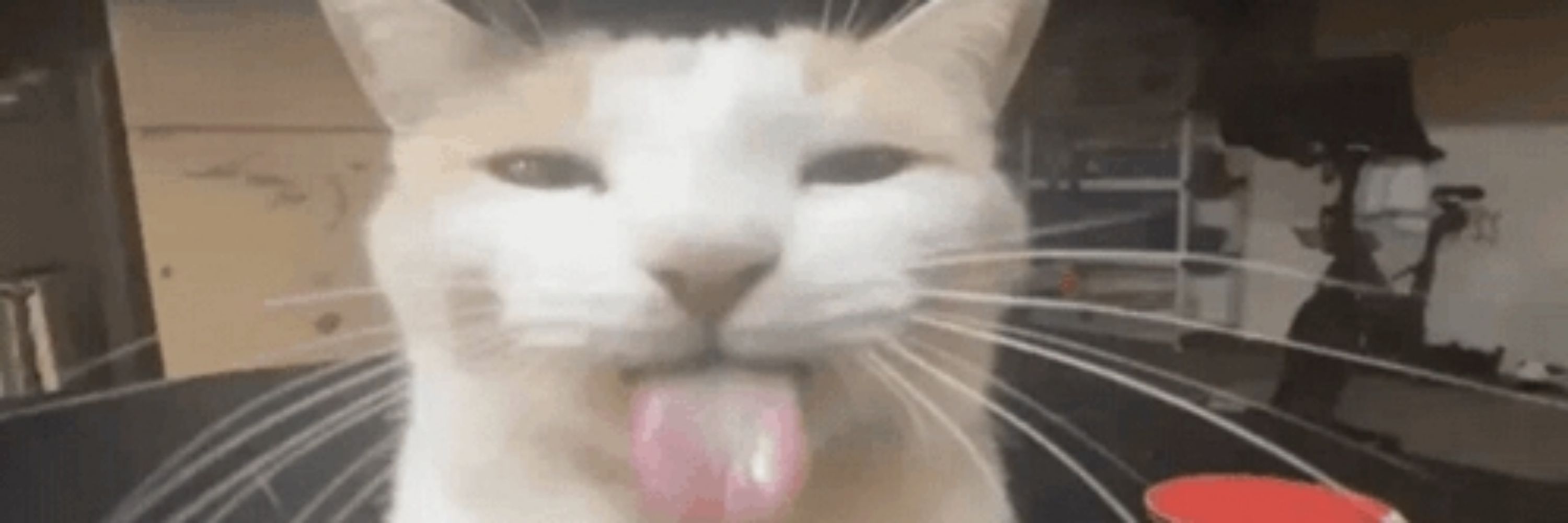 ᑲᥣᥙᥡ᥆sһі64 🐱💤
