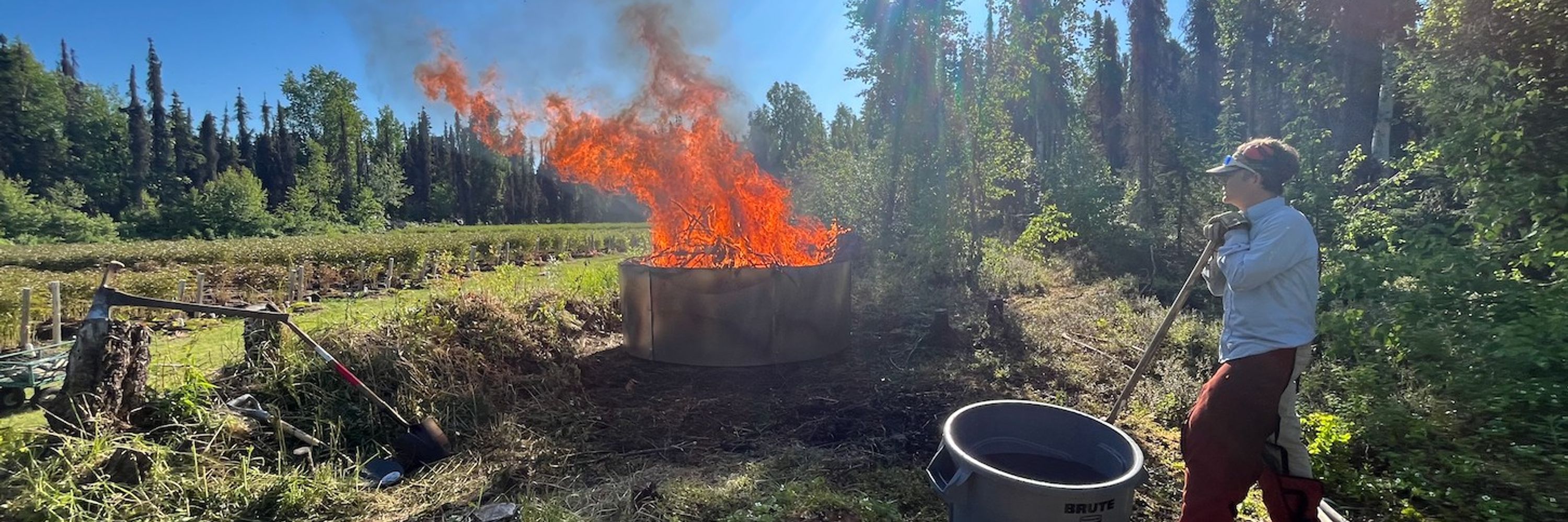 Biochar On Site