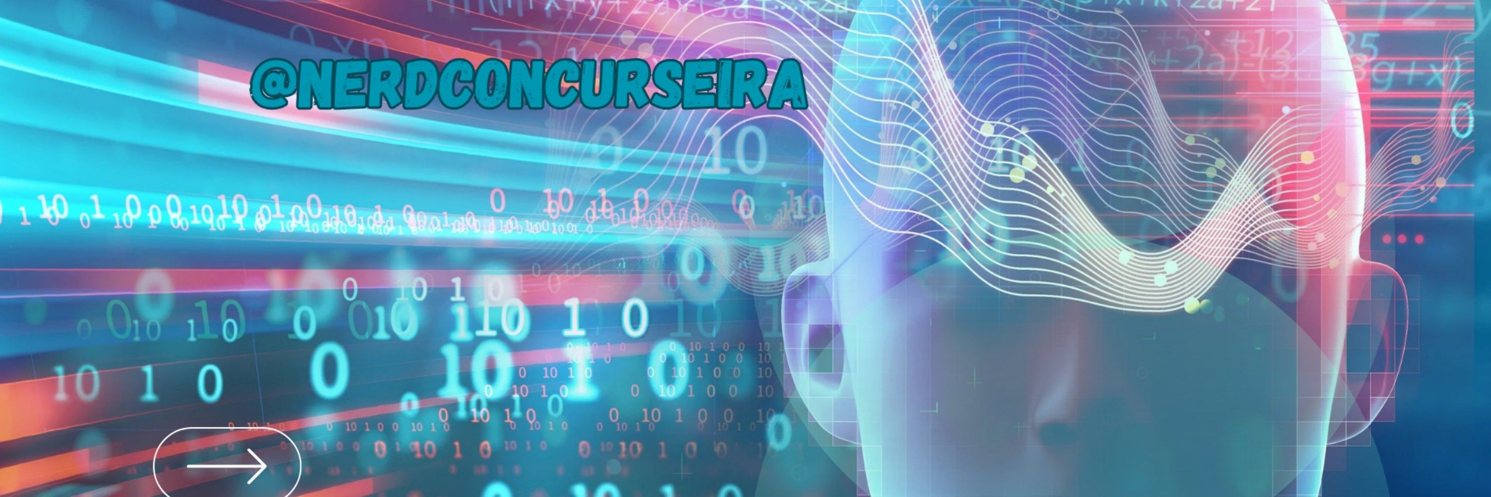 NerdConcurseira