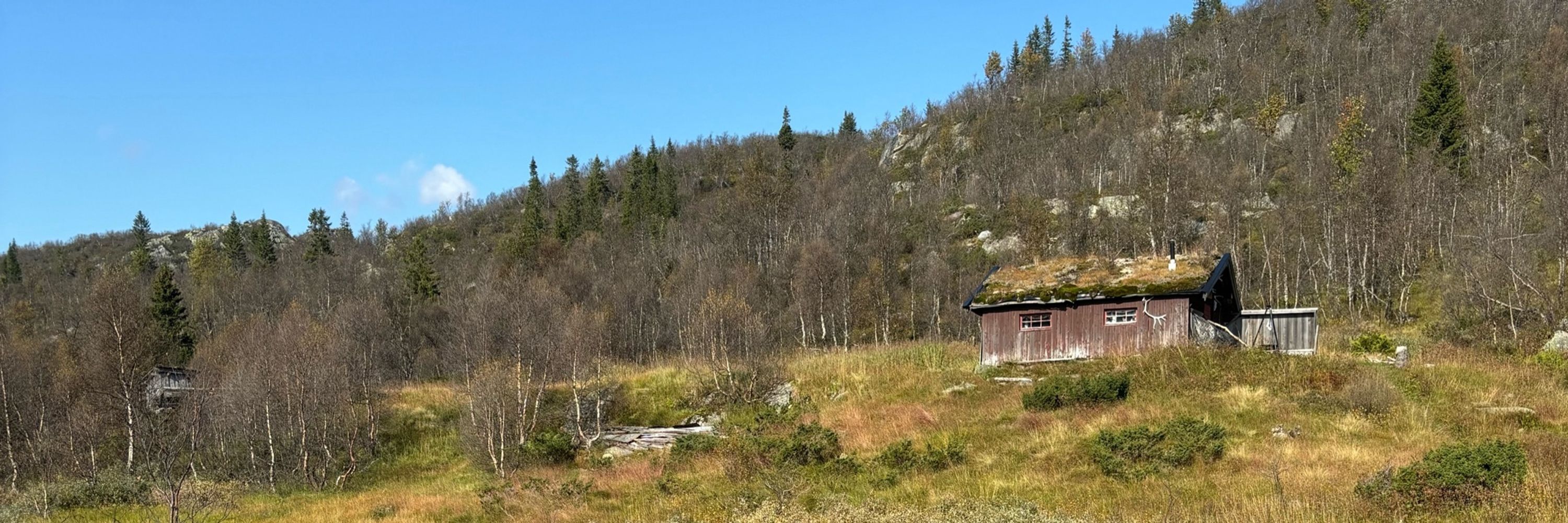 Fridtjof
