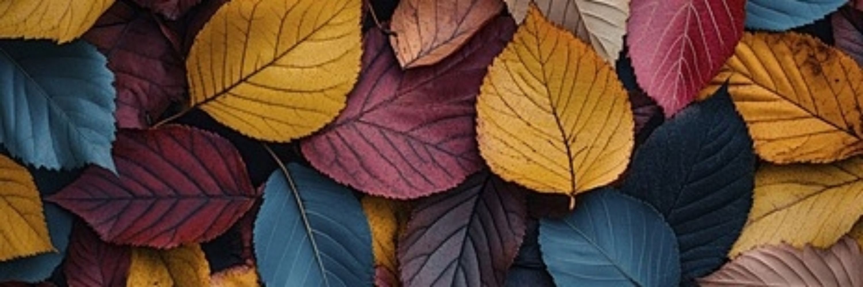Jennifer Glosenger