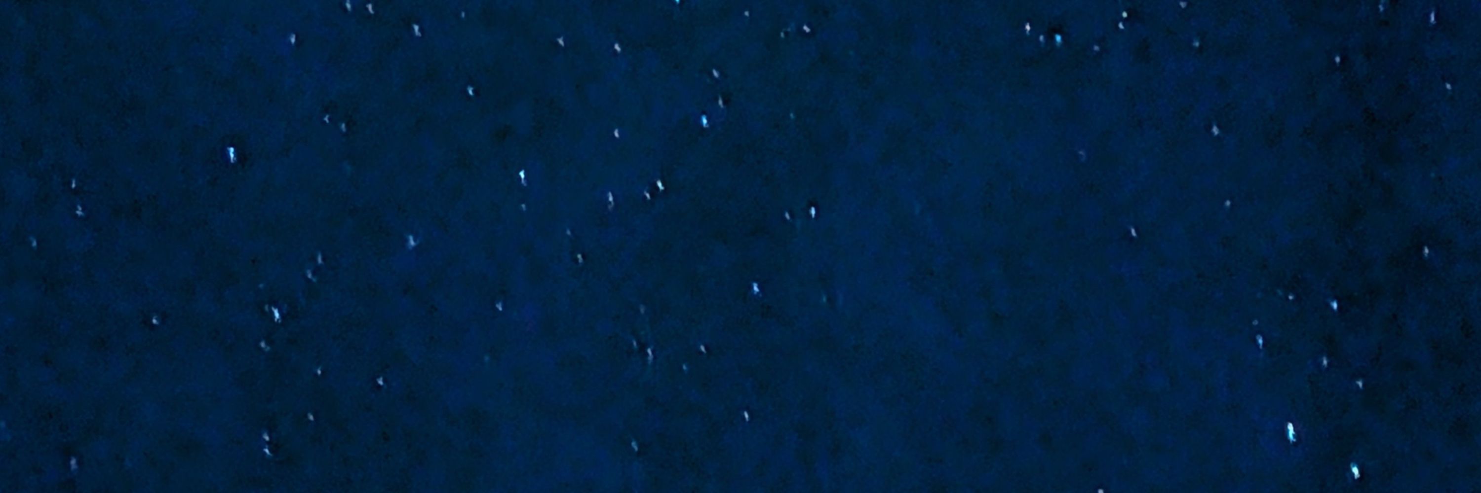 Siren