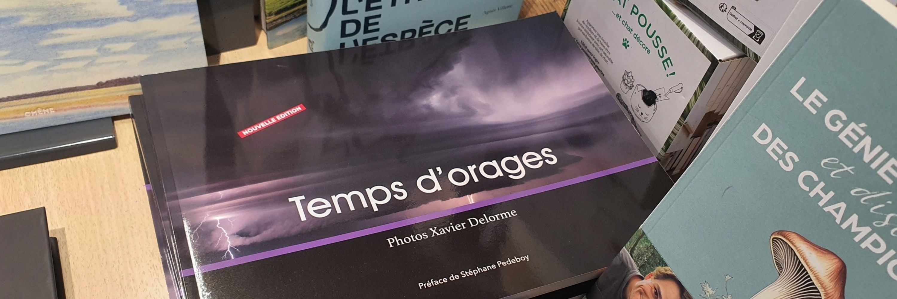 Xavier Delorme