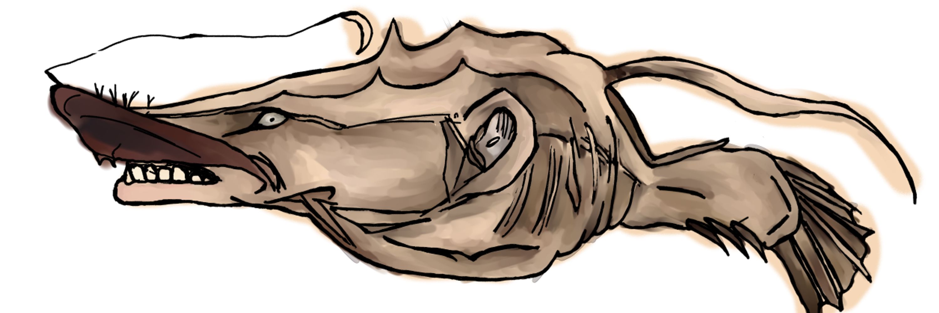 Sheepy 