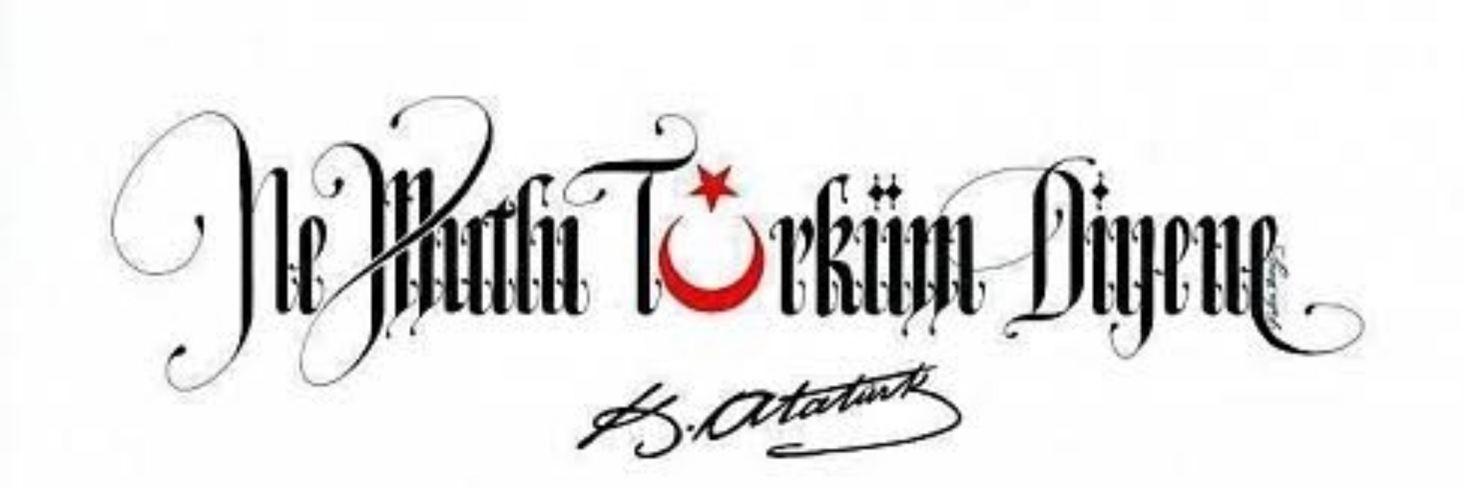 Sedat AKIN